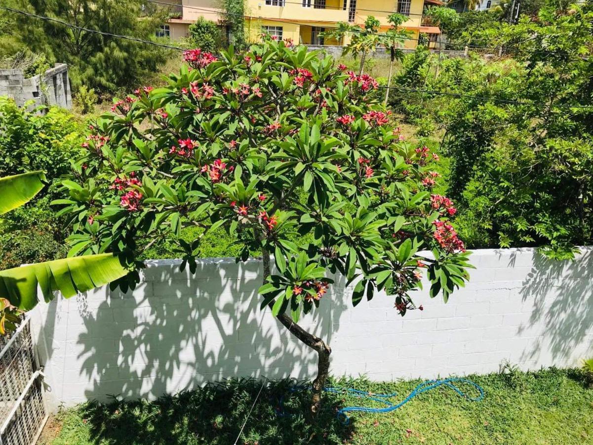 Breeze Du Nord Villa Grand Baie Bagian luar foto